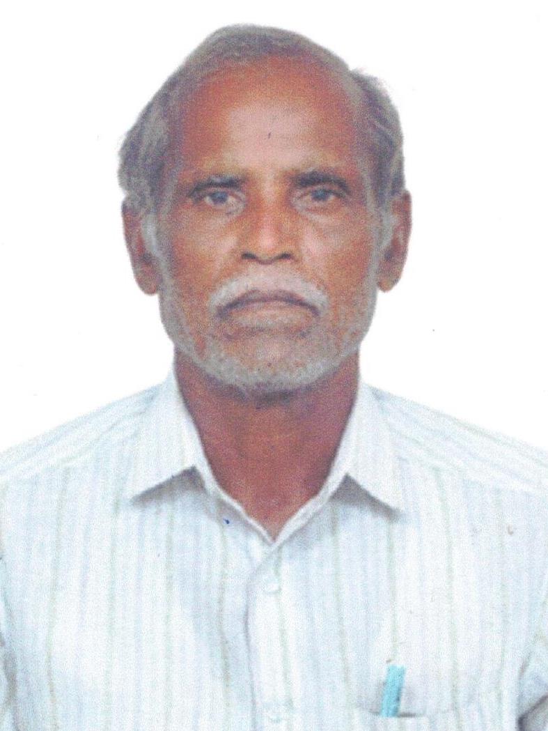 S. RAMAN